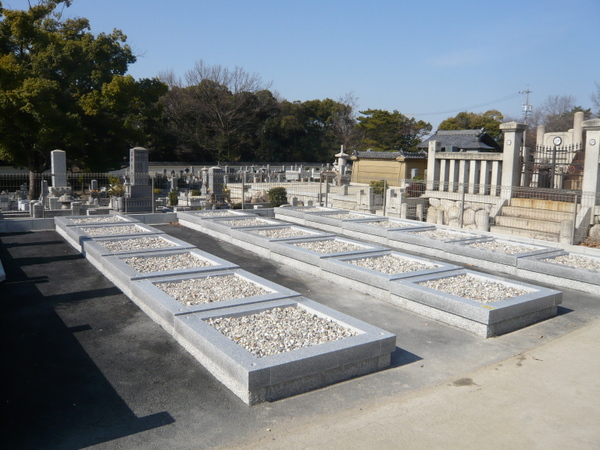 P1030803_7